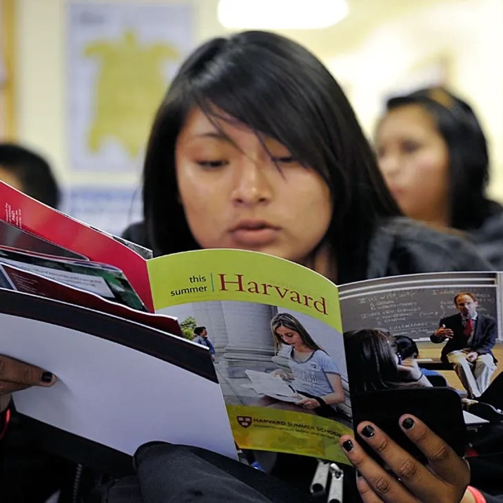 Student looking through a Harvard pamphlet.